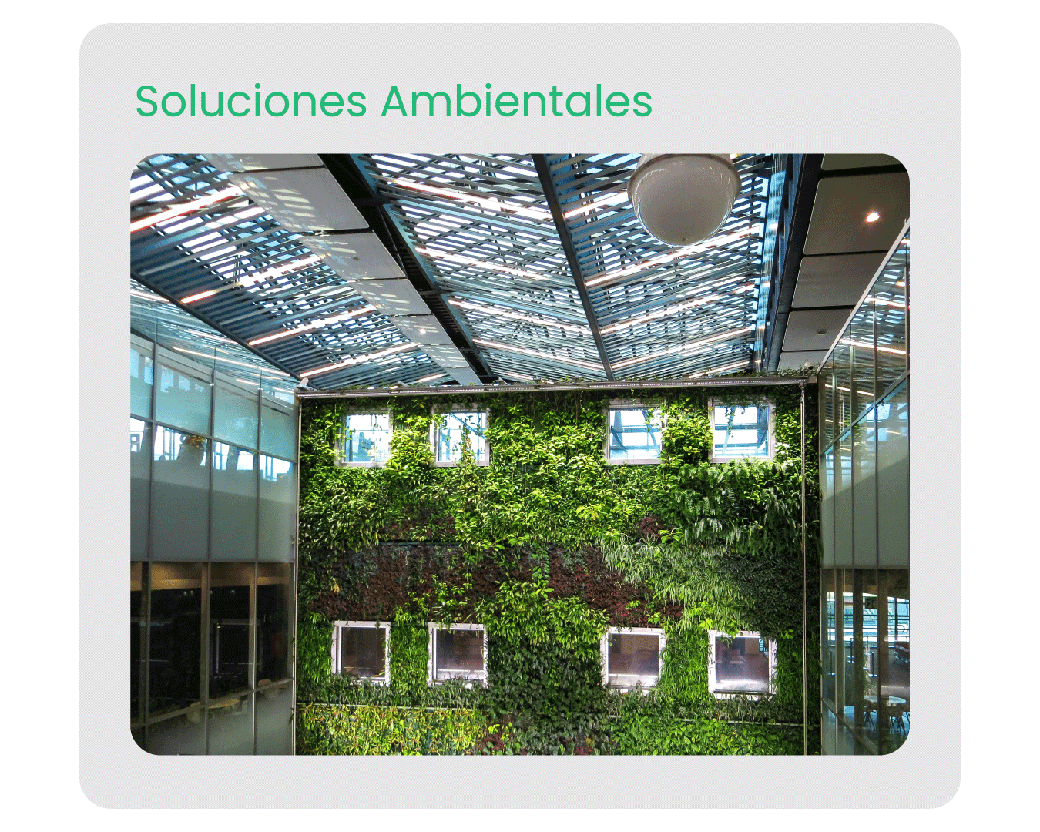 Techo verde